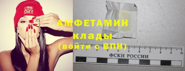 шишки Заводоуковск
