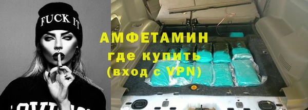 шишки Заводоуковск