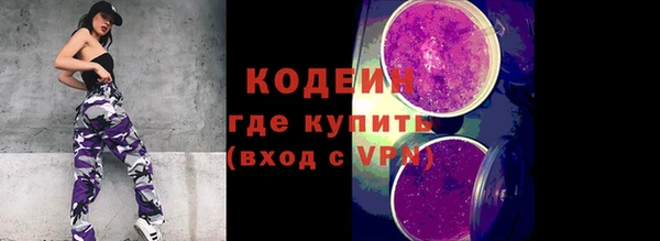 шишки Заводоуковск