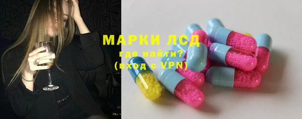 шишки Заводоуковск