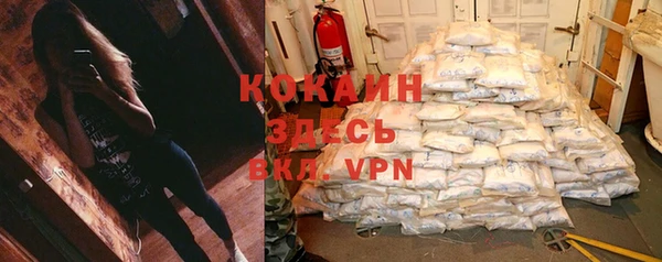 шишки Заводоуковск